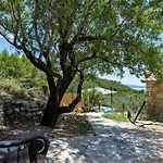 Σπίτι διακοπών Olive Garden-pool, Privacy & Parking Μακάρσκα