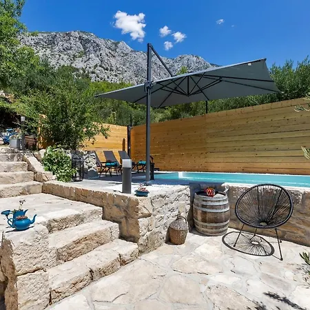 Olive Garden-pool, Privacy & Parking 펜션