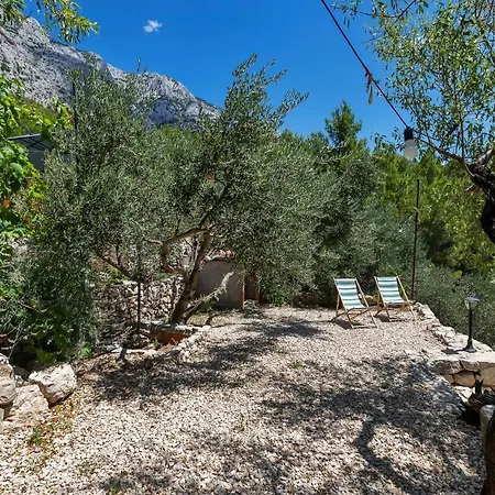 Olive Garden-pool, Privacy & Parking Makarska