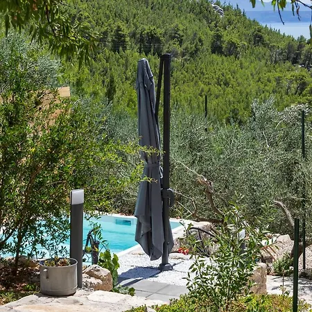 Olive Garden-pool, Privacy & Parking 펜션 *