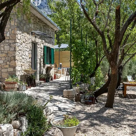 Olive Garden-pool, Privacy & Parking Tatil Evi