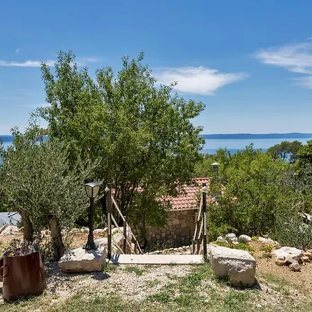 Olive Garden-pool, Privacy & Parking