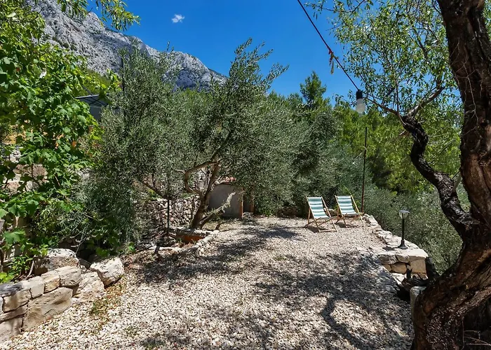 Olive Garden-pool, Privacy & Parking Μακάρσκα