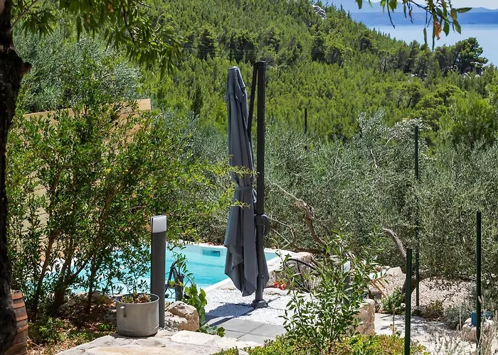 Olive Garden-pool, Privacy & Parking Holiday home *