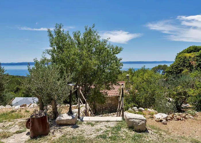 Olive Garden-pool, Privacy & Parking