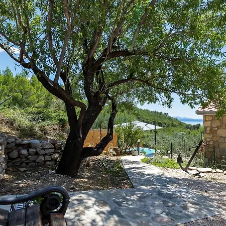 Dom wakacyjny Olive Garden-pool, Privacy & Parking Makarska