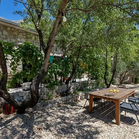 Dom wakacyjny Olive Garden-pool, Privacy & Parking Makarska